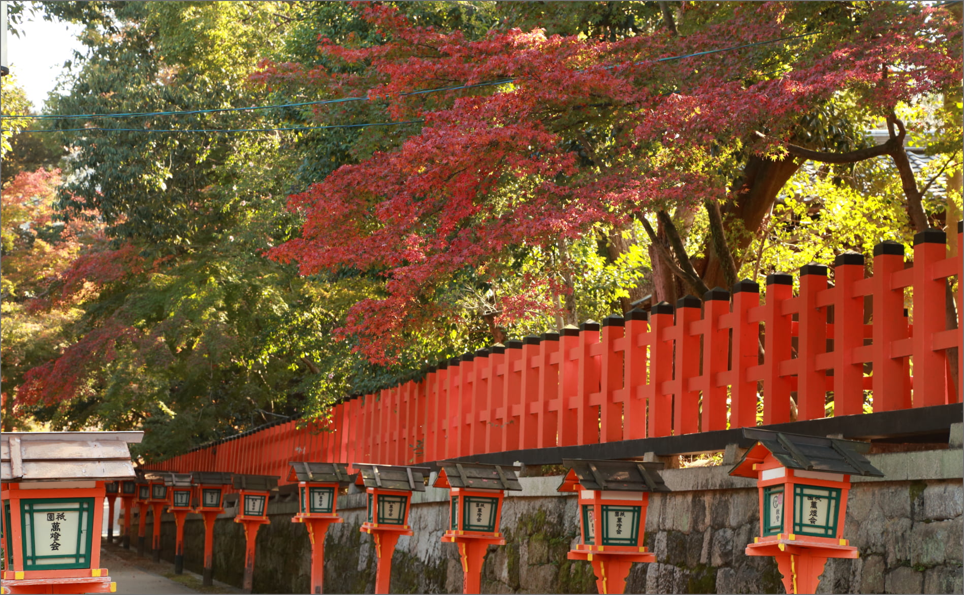 紅葉舞い散る秋の八坂神社