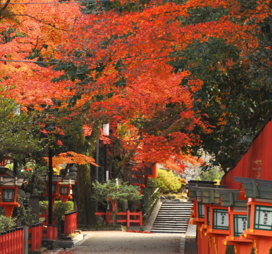 夏とは打って変わって赤い紅葉で色づいた灯籠の横道