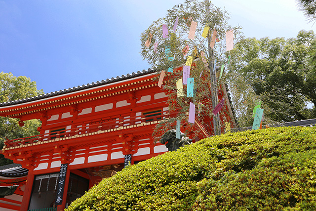 京都景點推介｜京都自由行3日行程規劃！絕美清水寺、近郊天橋立一日遊